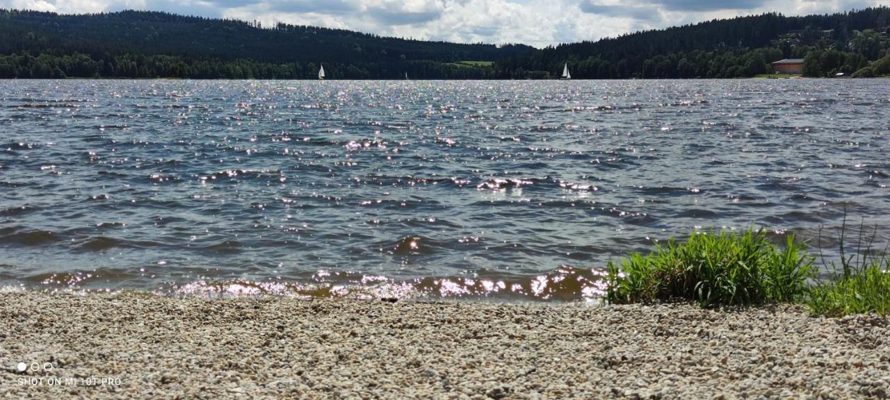 U Machacku - Lipno Apartment