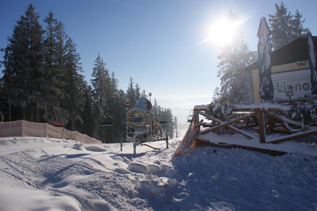 U Machacku - Lipno * Lipno nad Vltavou